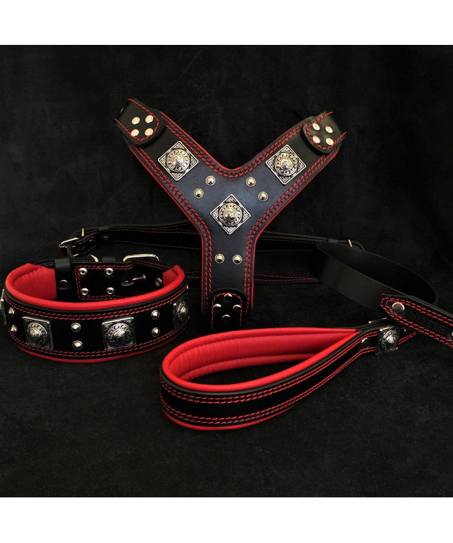 "EROS" BIG dog SET- Harness - collar - lead. Black & Red-0