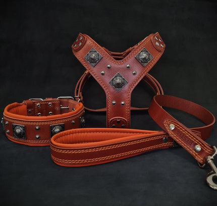"EROS" BIG dog SET- Harness - collar - lead. Brown & Orange-0