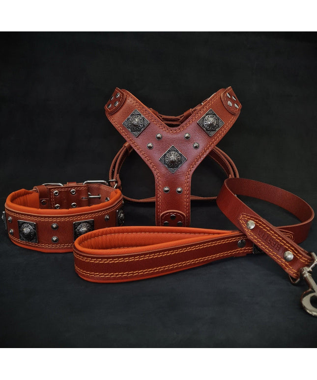 "EROS" BIG dog SET- Harness - collar - lead. Brown & Orange-0