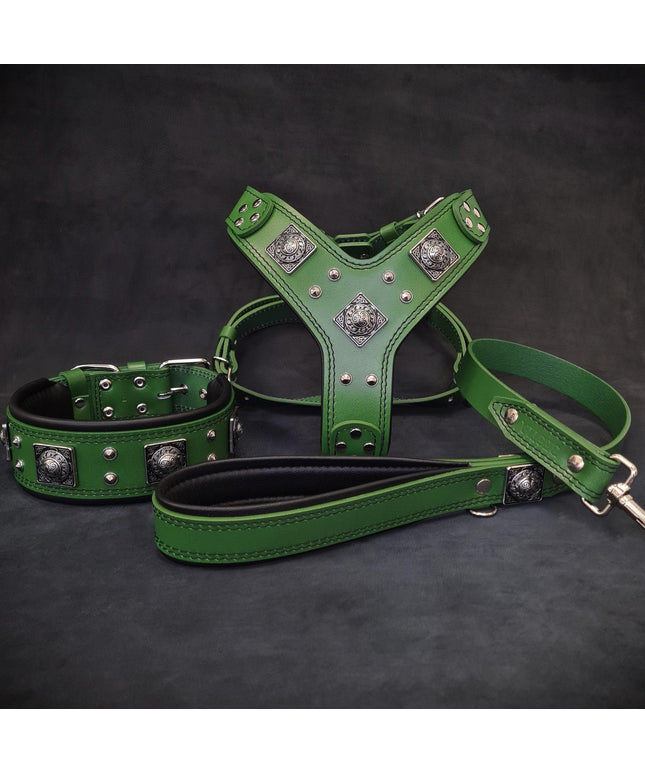"EROS" BIG dog SET- Harness - collar - lead. Green-0