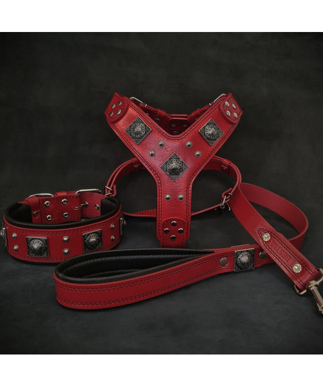 "EROS" BIG dog SET- Harness - collar - lead. Red-0