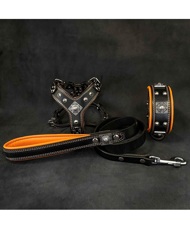 "EROS" Small to Medium dog SET - Harness - collar - lead Black&Orange-0