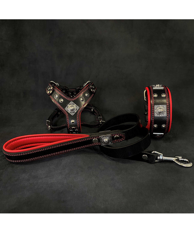 "EROS" Small to Medium dog SET - Harness - collar - lead Black&Red-0