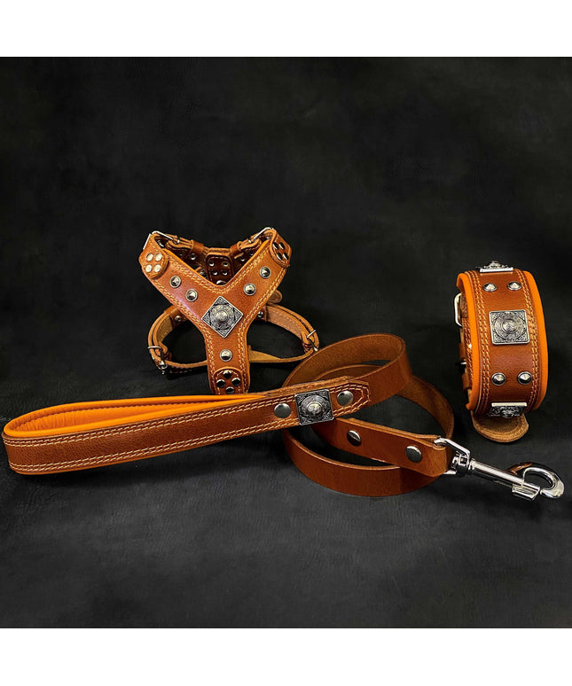 "EROS" Small to Medium dog SET - Harness - collar - lead. Brown-0