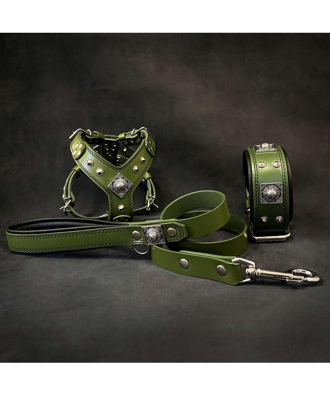 "EROS" Small to Medium dog SET - Harness - collar - lead. Green-0
