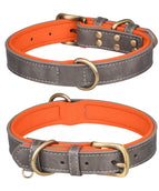 Double D Ring Gray Orange
