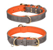 Double D Ring Gray Orange / XS