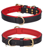 Double D Ring Black Red
