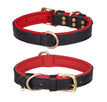 Double D Ring Black Red / XS
