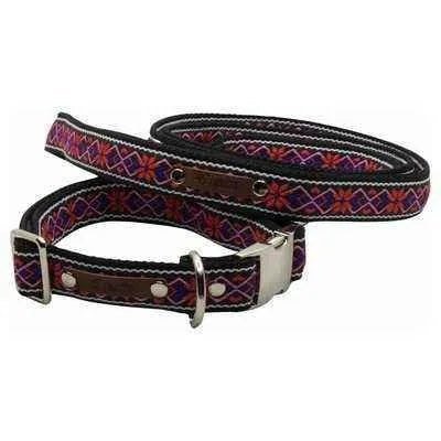 Finnigan's Fabulous Dog Collar Set-1