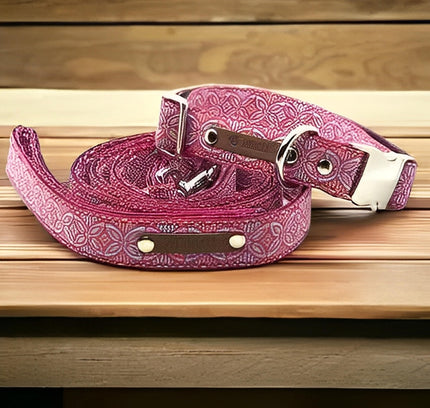 Finnigan's Regal Designer Dog Collar Set-0