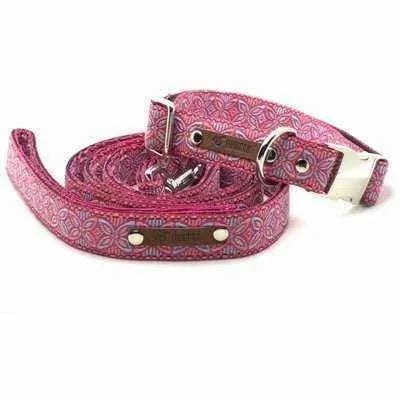 Finnigan's Regal Designer Dog Collar Set-1