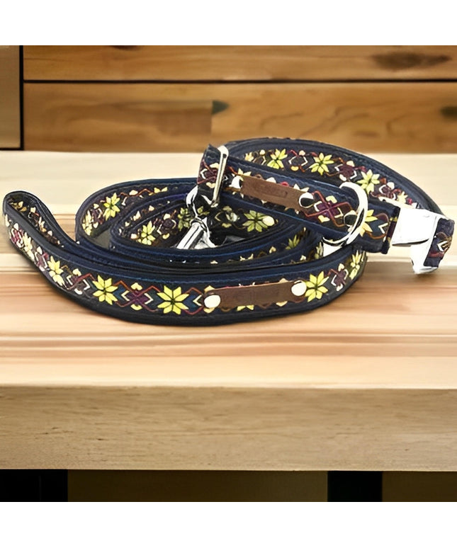 Finnigan's Stylish Custom Dog Collar Set-0