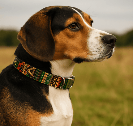 Majestic Cotton Couture Dog Collar for Large Breeds-1