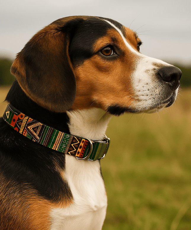 Majestic Cotton Couture Dog Collar for Large Breeds-1