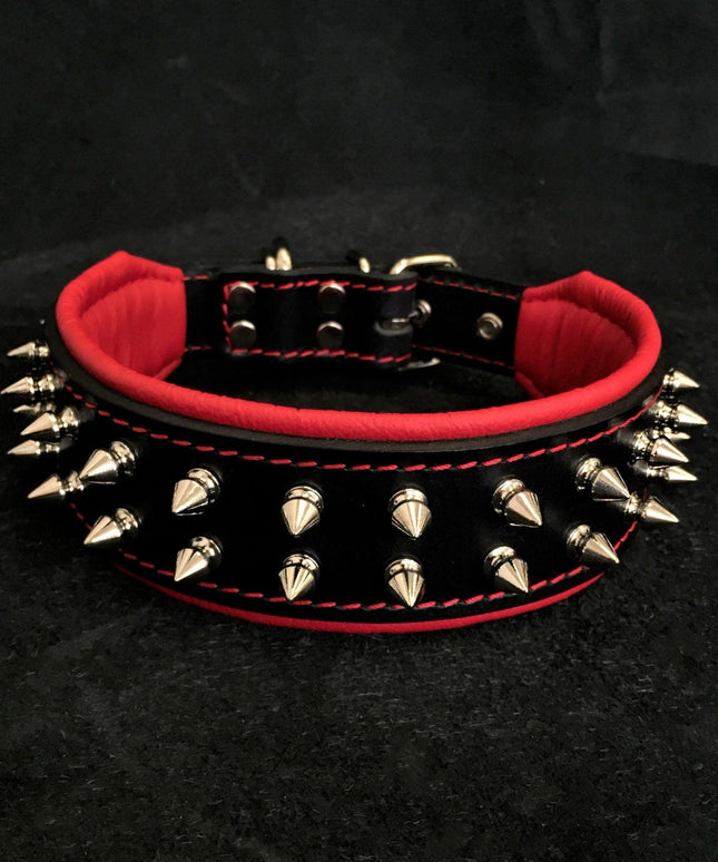 "Frenchie" collar-1