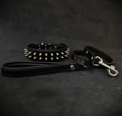"Frenchie" Set- collar & leash. Black-0