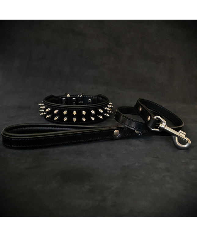 "Frenchie" Set- collar & leash. Black-0
