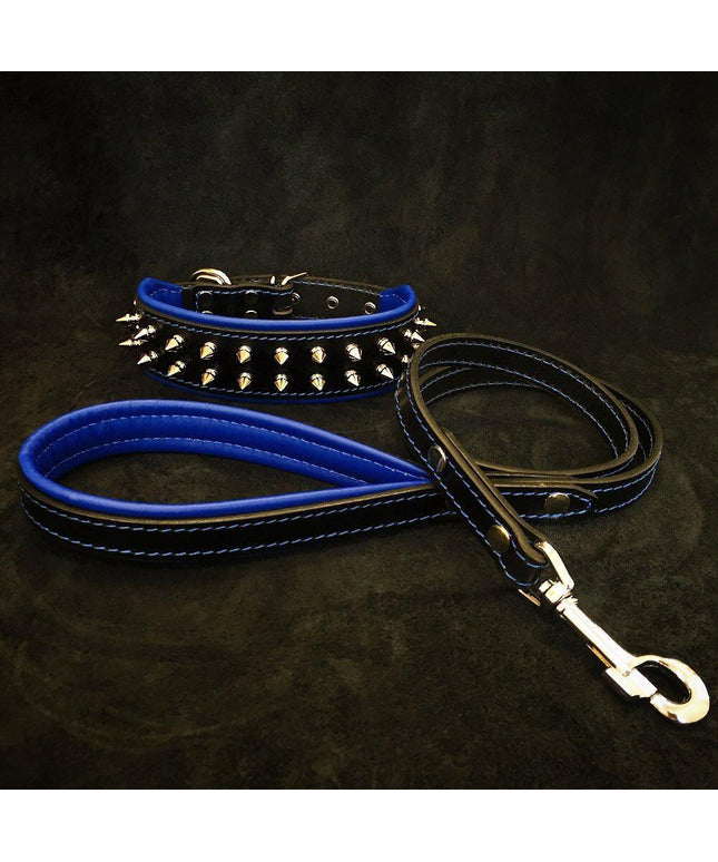 "Frenchie" Set- collar & leash. Blue-0