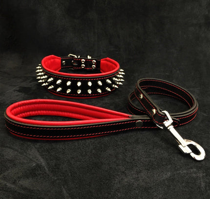 "Frenchie" Set- collar & leash. Red-0