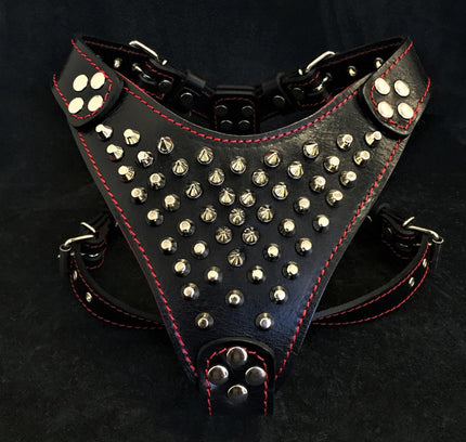 'Frenchie'' studded leather harness Small to Medium Size-0