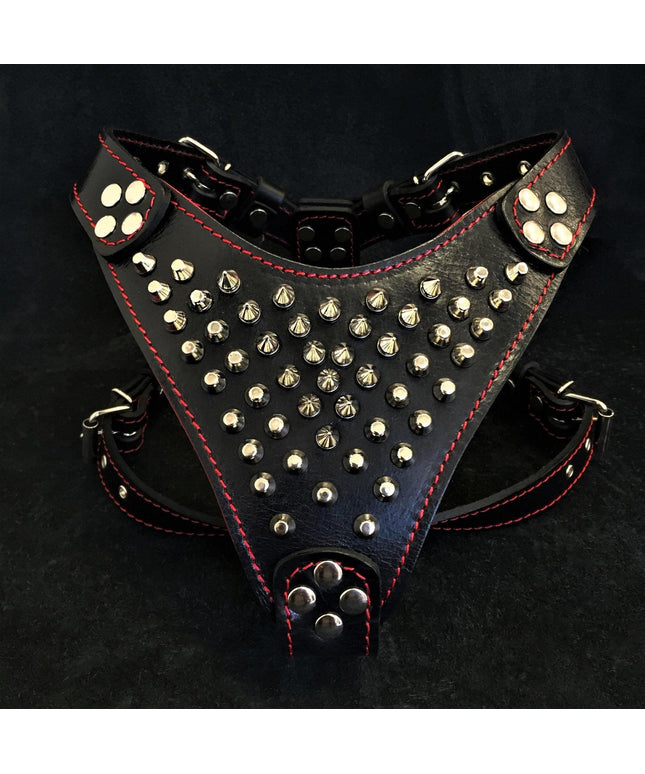 'Frenchie'' studded leather harness Small to Medium Size-0