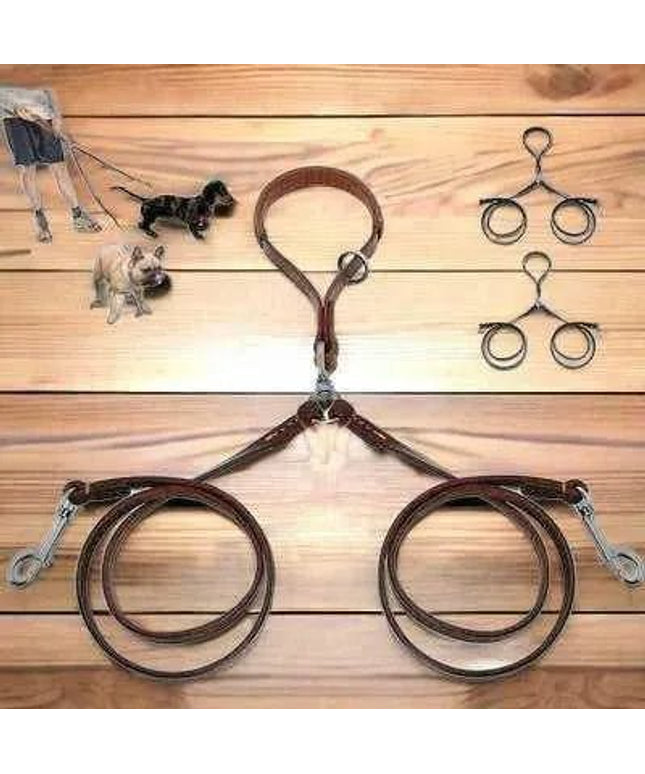 Golden Double Leather Pet Leads - Set of 2-0