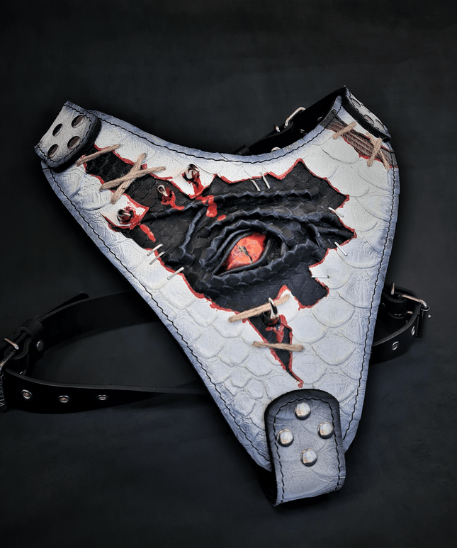 The “Dragon's Eye” Harness LIMITED!