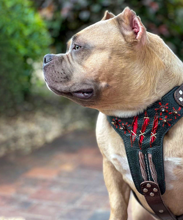 The ''Haunted'' harness LIMITED-4