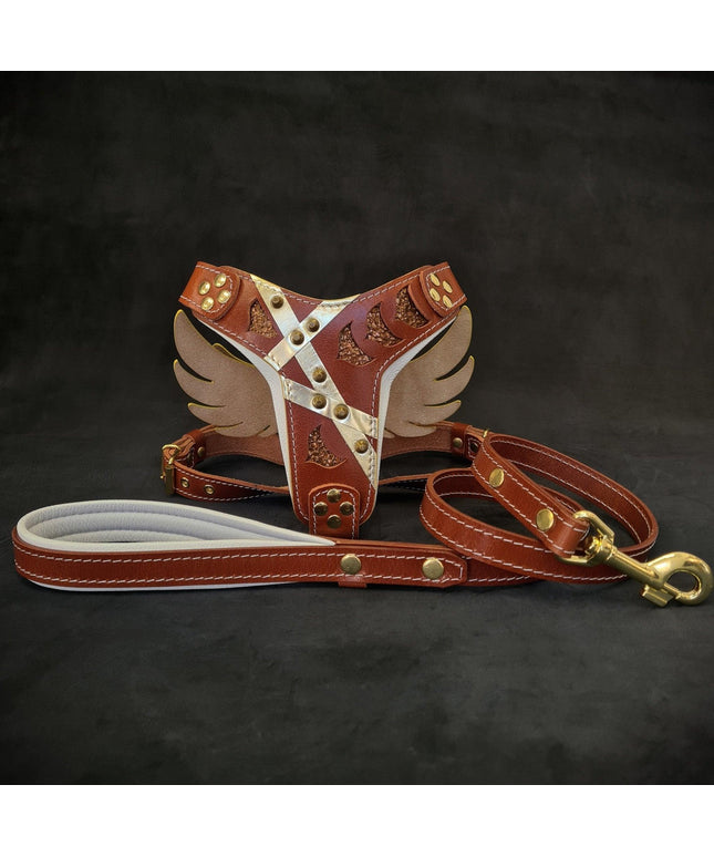 "Set \"Hermes\" - harnais et laisse"