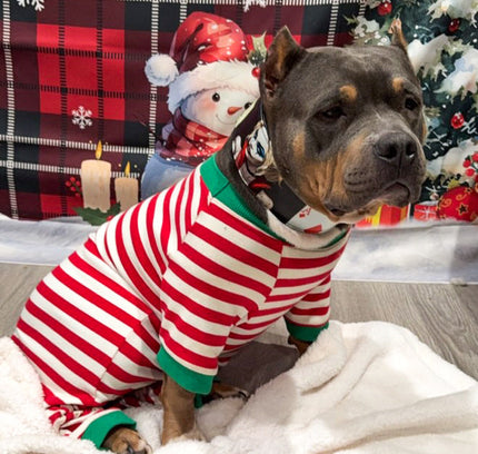 The Harley Limited Collar-4