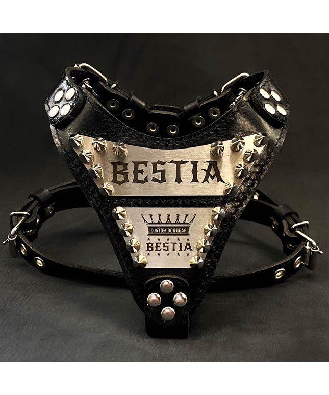 The "Metal" harness small to medium size - Personalized