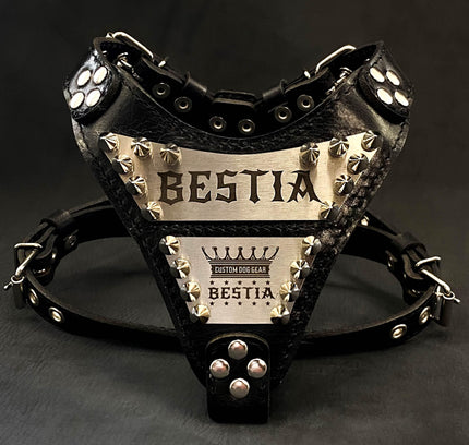 The "Metal" harness small to medium size - Personalized-0