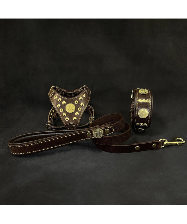 "Maximus Brown&Gold" Small dog SET - Harness - collar - lead-0