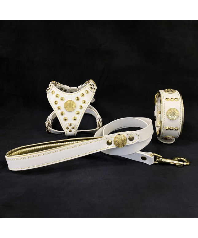 "Maximus White&Gold" Small dog SET - Harness - collar - lead-0