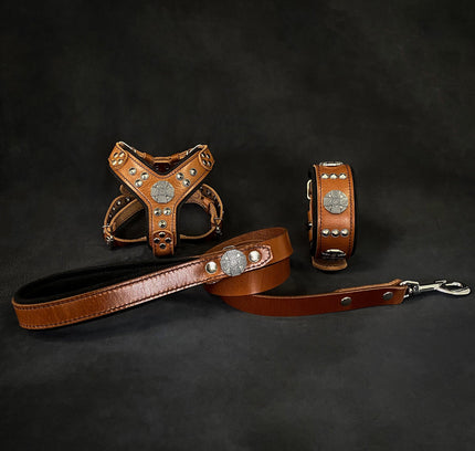 "Maximus Brown&Silver" Small dog SET - Harness - collar - lead-0