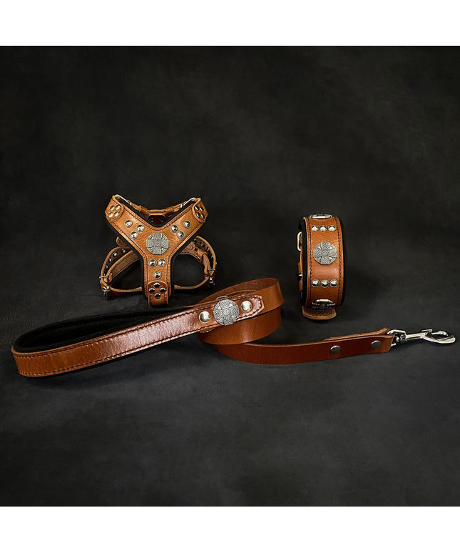 "Maximus Brown&Silver" Small dog SET - Harness - collar - lead-0