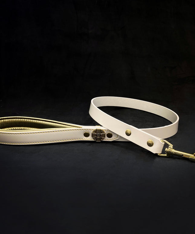 Maximus Gold Leash 1 inch wide-1