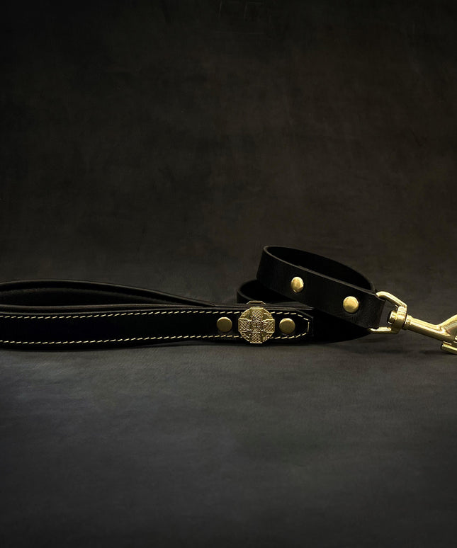 Maximus Gold Leash 1 inch wide-2