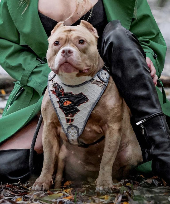 The “Dragon's Eye” Harness LIMITED!-4