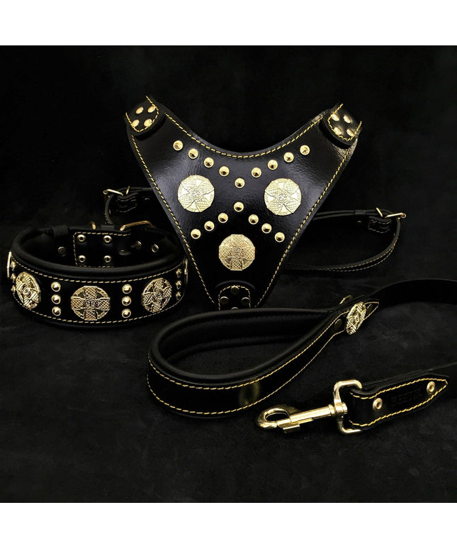 "Maximus Black" BIG dog SET- Harness - collar - lead. Brass rivets-0