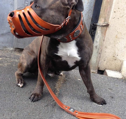 'Maximus'' Silver Basket Muzzle-2