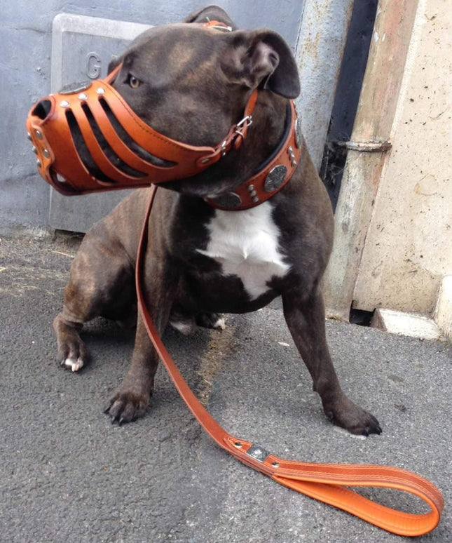 'Maximus'' Silver Basket Muzzle-2