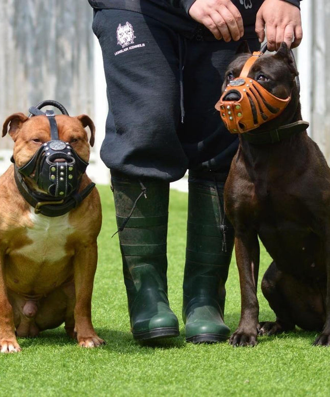 'Maximus'' Silver Basket Muzzle-1