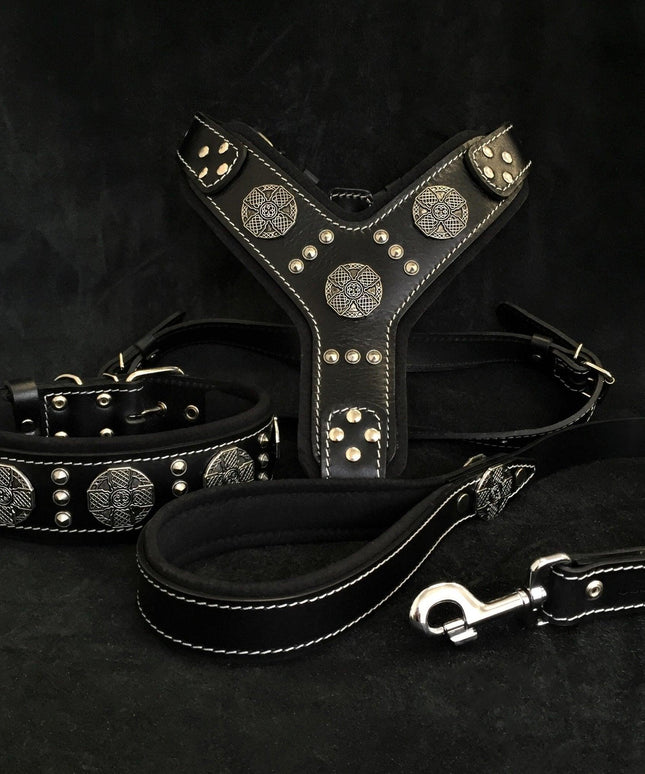"Maximus Silver" BIG dog SET- Harness - collar - lead. Black-0