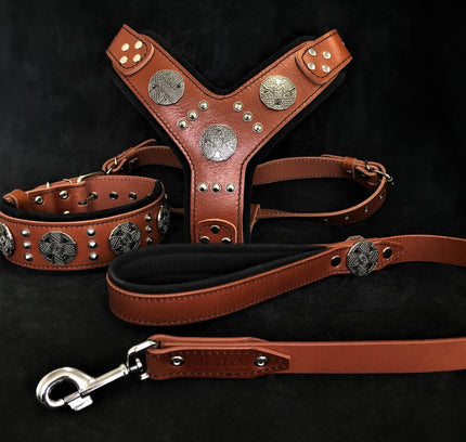 "Maximus Silver" BIG dog SET- Harness - collar - lead. Brown-0