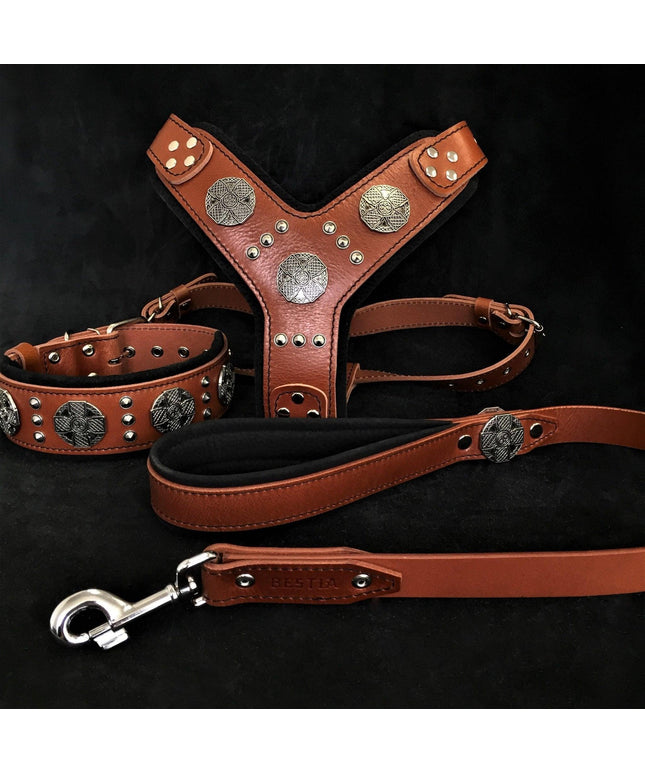 "Maximus Silver" BIG dog SET- Harness - collar - lead. Brown-0