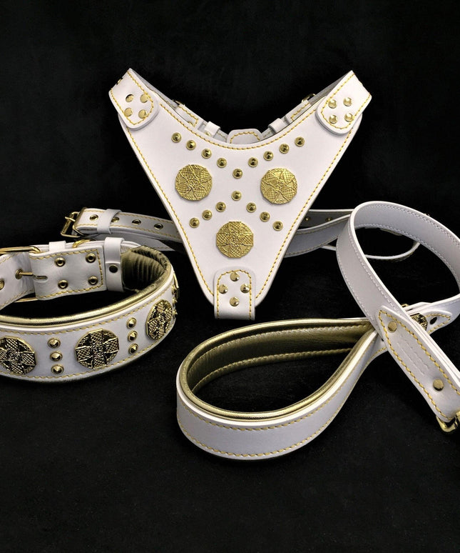 "Maximus White" BIG dog SET- Harness - collar - lead. Brass rivets-0