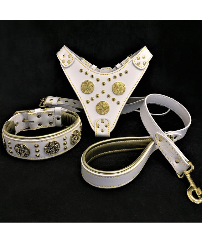 "Maximus White" BIG dog SET- Harness - collar - lead. Brass rivets-0