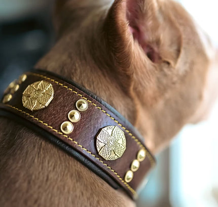 The "Maximus" collar 2.5 inch wide brown & gold-2